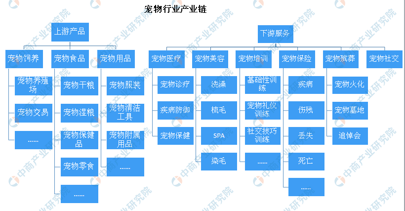 2021年中国宠物行业市场前景及投资研究报告