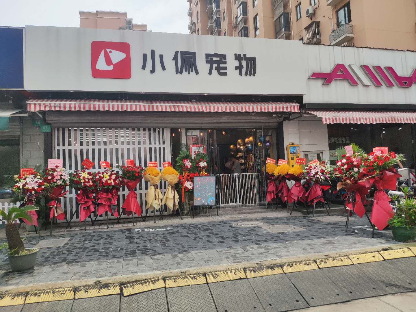 宠物店利润不好该怎么办？